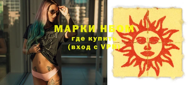 стаф Новодвинск