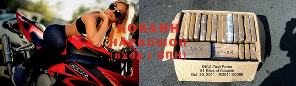 стаф Новодвинск