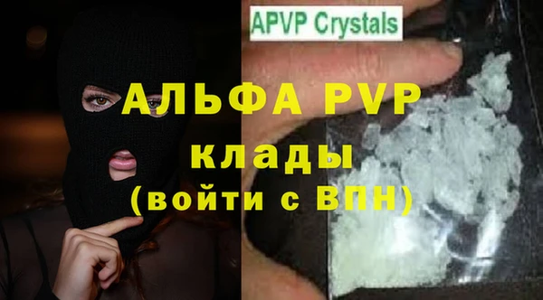 Альфа ПВП Новозыбков