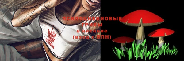 стаф Новодвинск