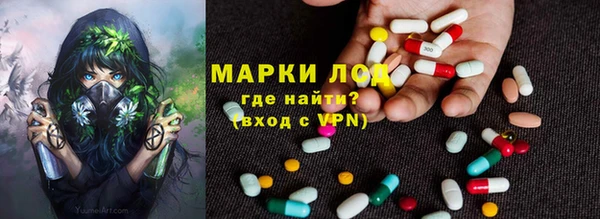 стаф Новодвинск