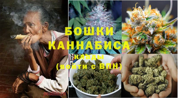 дмт Сатка