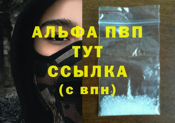 Альфа ПВП Новозыбков