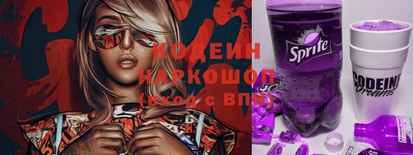 Альфа ПВП Новозыбков