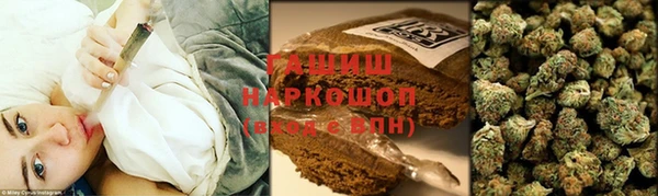 стаф Новодвинск