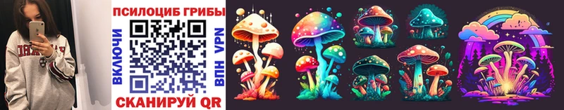 цена наркотик  Приморско-Ахтарск  Псилоцибиновые грибы Psilocybine cubensis 