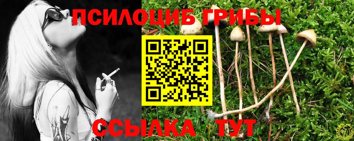Приморско-Ахтарск  даркнет сайт  Вход с VPN  Псилоцибиновые грибы ЛСД  Галлюциногенные грибы Magic Shrooms 