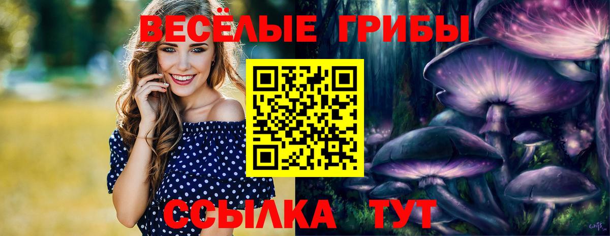 Галлюциногенные грибы Psilocybine cubensis Приморско-Ахтарск