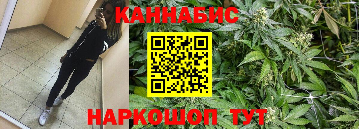 Конопля планчик Приморско-Ахтарск